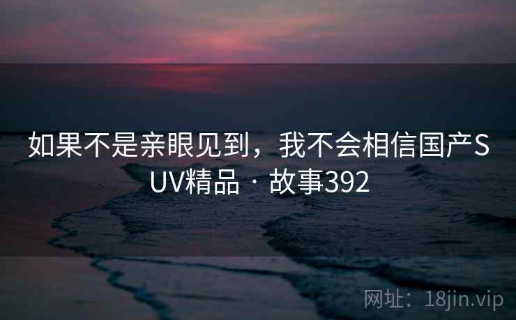 如果不是亲眼见到,我不会相信国产SUV精品 · 故事392